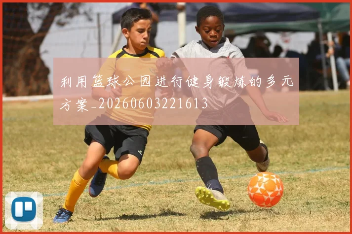 利用篮球公园进行健身锻炼的多元方案_20260603221613