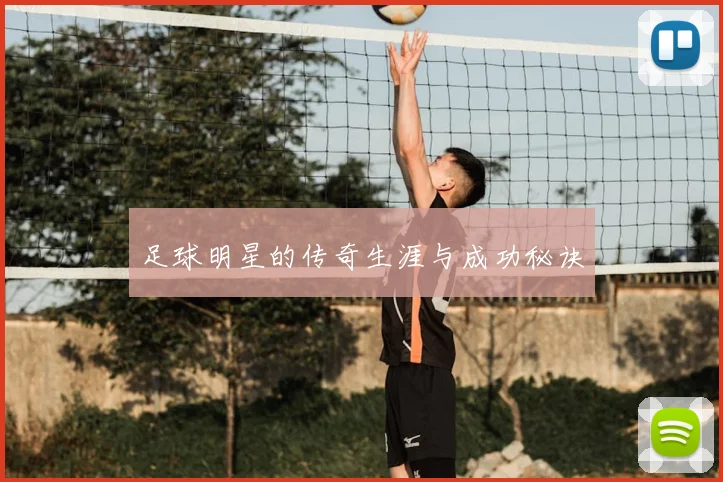 足球明星的传奇生涯与成功秘诀
