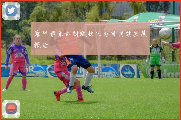 意甲俱乐部财政状况与可持续发展报告