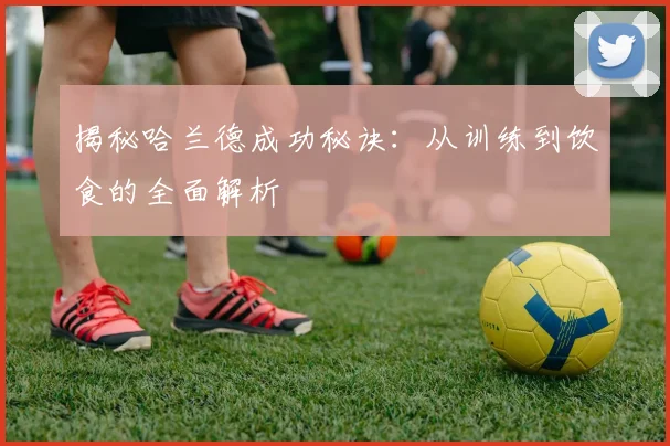 揭秘哈兰德成功秘诀:从训练到饮食的全面解析
