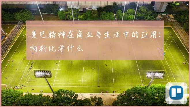 曼巴精神在商业与生活中的应用：向科比学什么